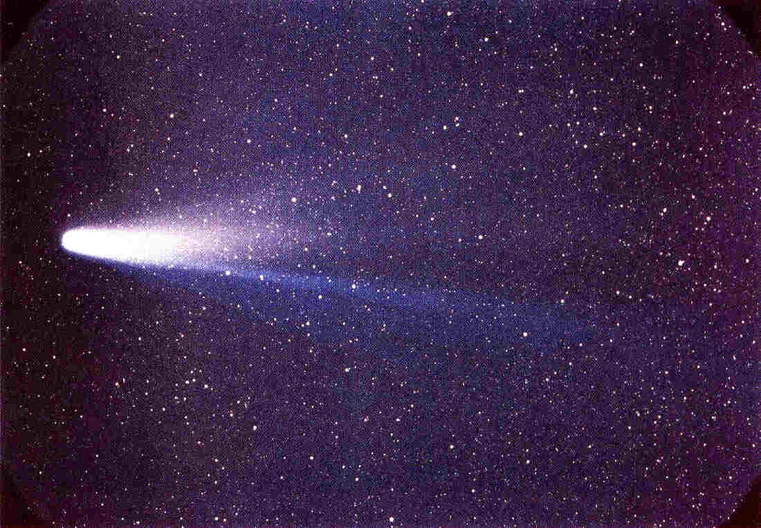 The Cosmic Visitor That Only Comes Once in a Lifetime: 7 Astonishing Curiosities About Halley's Comet!"