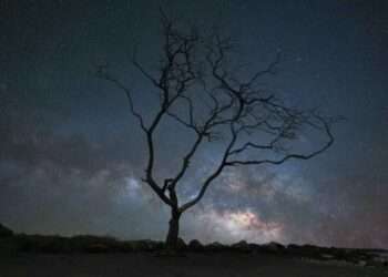 Deep Space Strain Signals: Decoding the Universe’s Hidden Messages